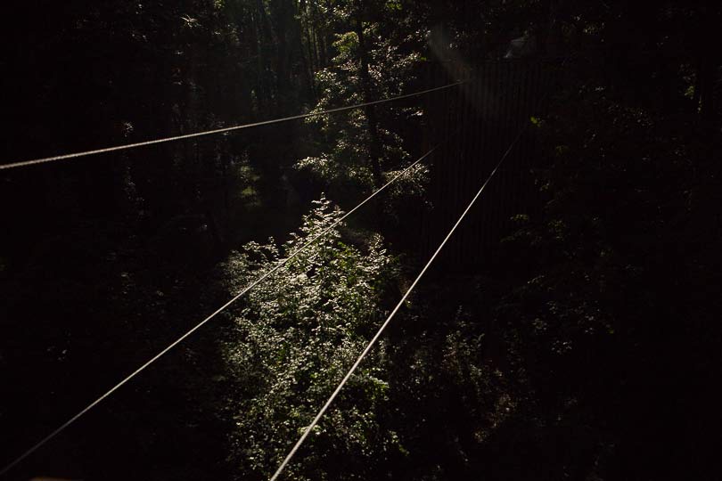 Noisy sur Ecole, Forest of Fontainebleau, Caribou aventure