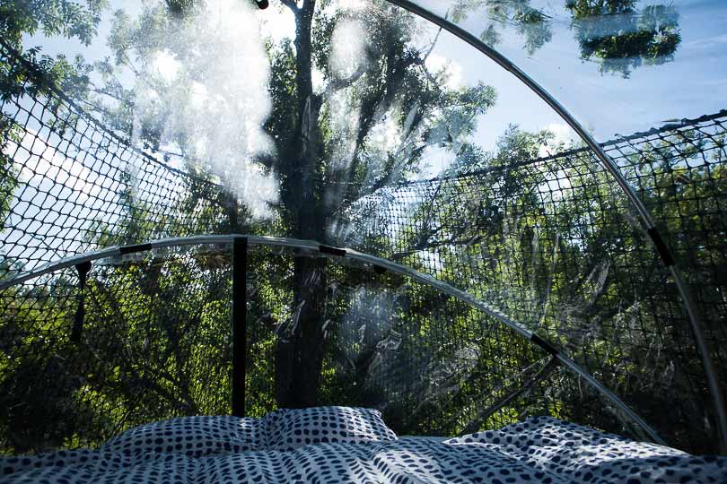 Noisy sur Ecole, Forest of Fontainebleau, Caribou aventure